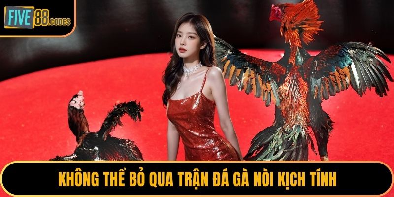 Không thể bỏ qua trận đá gà nòi kịch tính